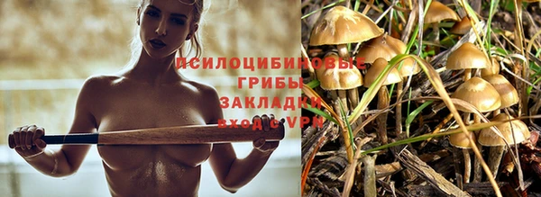 спайс Няндома