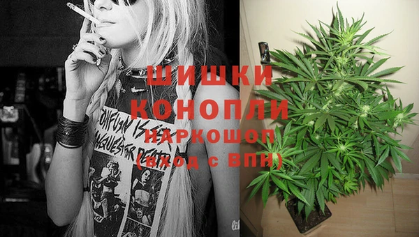 круглые Бронницы