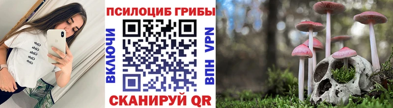 Псилоцибиновые грибы MAGIC MUSHROOMS  кракен ССЫЛКА  Городец 